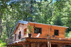 Cabane Chalet isolé en pleine forêt